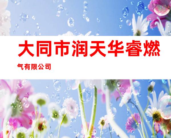 大同市润天华睿燃气有限公司
